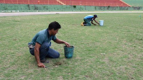 [Gramado do Estádio Lomanto Júnior passa por tratamento para eliminar fungos]