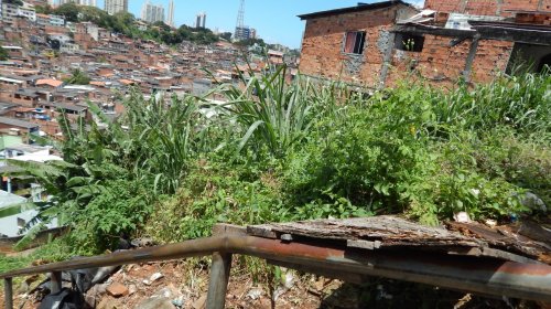 [Falta de encosta põe em risco famílias em rua do Engenho Velho da Federação]