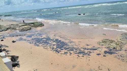 [Manchas de óleo chegam à praia da Pituba e do Jardim de Alah]
