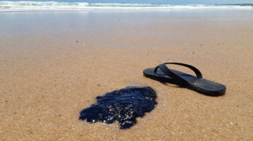 [Aplicativo pode ajudar no monitoramento do óleo nas praias]