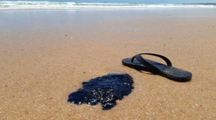 [Aplicativo pode ajudar no monitoramento do óleo nas praias]