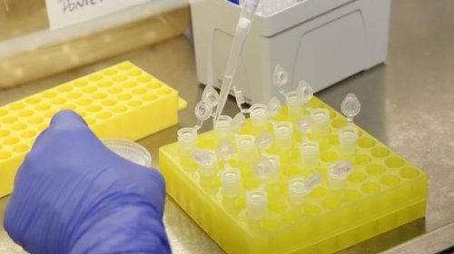 Primeiro médico a falar do coronavírus e acusado de [Primeiro médico a falar do coronavírus e acusado de