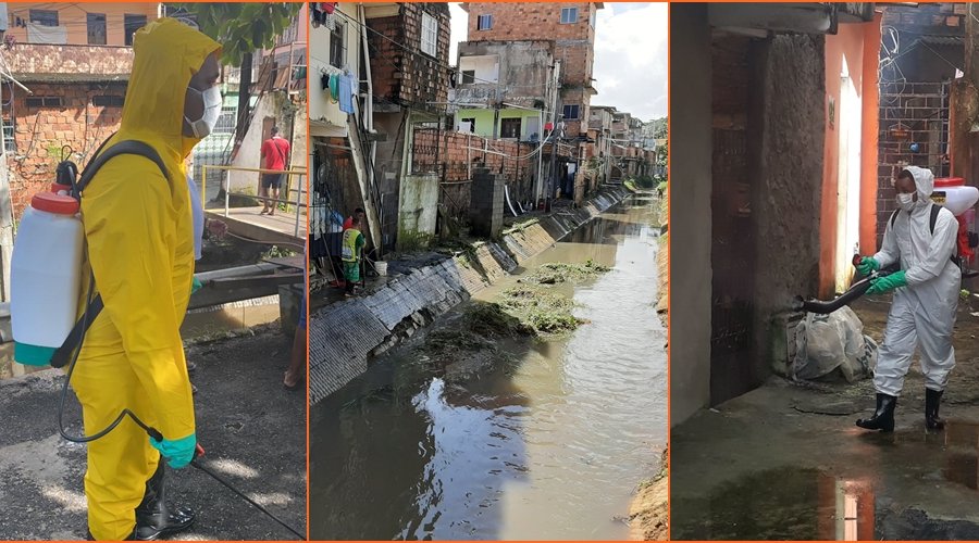 [Movimento Solidário: Mutirão de limpeza e dedetização realizado em diversas ruas de Pernambués]