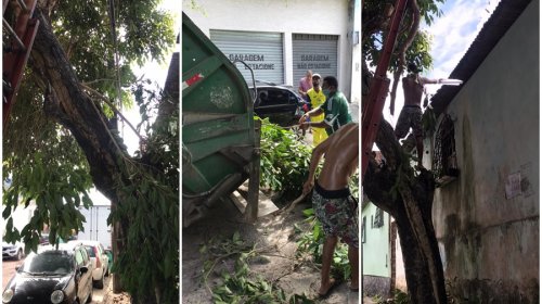 [Árvore ameaça cair em residência e preocupa moradores]