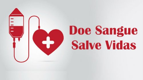 [Dia Mundial do Doador de Sangue: A cada mil brasileiros, apenas 16 doam sangue; veja os benefí...]