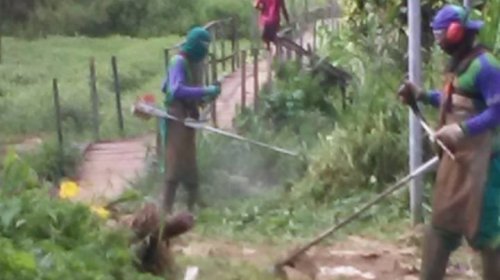 [Agentes de limpeza realizaram mutirão de roçagem e capina no bairro de Nova Constituinte]