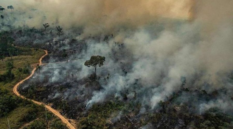 [Conferência do Clima começa neste domingo com grandes expectativas e Brasil como vilão]