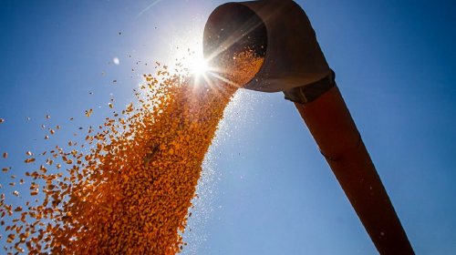 [IBGE aponta safra recorde de 263,4 milhões de toneladas em 2022]