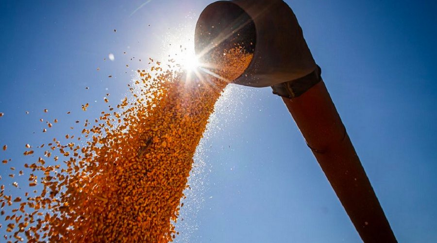[IBGE aponta safra recorde de 263,4 milhões de toneladas em 2022]