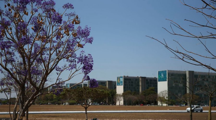 [Participação feminina em cargos no governo federal mostra estagnação]
