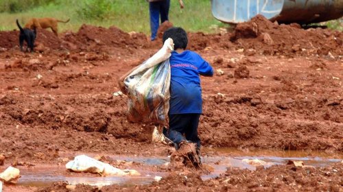 [Justiça condena Cargill em caso de rede de trabalho infantil na Bahia]