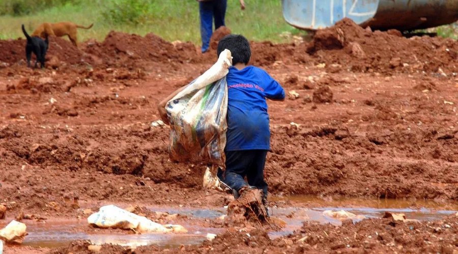 [Justiça condena Cargill em caso de rede de trabalho infantil na Bahia]