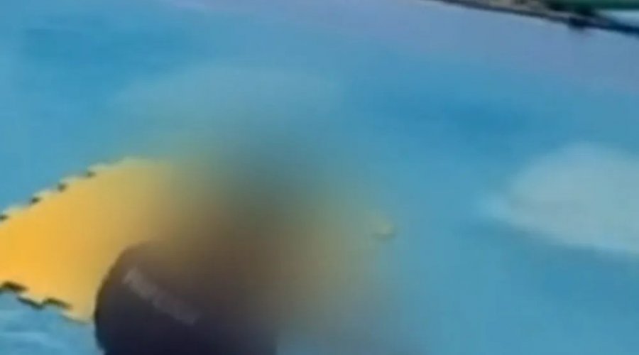 [Professor de natação é demitido após criança ficar submersa e chorar durante aula em Salvador; direção diz que discorda de método]