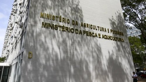 [Força-tarefa apreende mais de 6 mil garrafas de azeite falsificado]