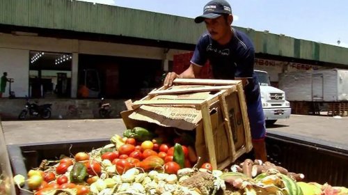 [Pesquisa traz dicas sobre como reduzir desperdício de alimentos]