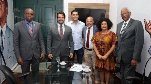 [Câmara instala 13 Comissões Permanentes]