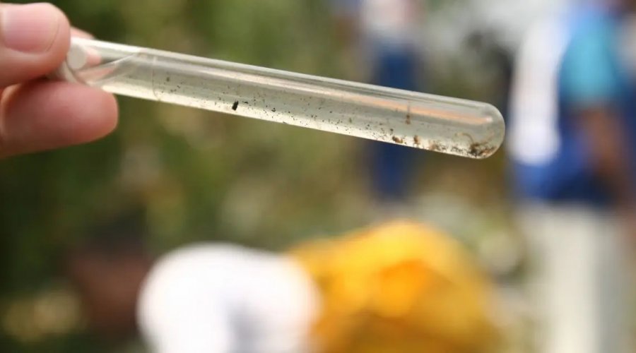 [Casos de dengue e Chikungunya despencam mais de 90% na Bahia em 2025]