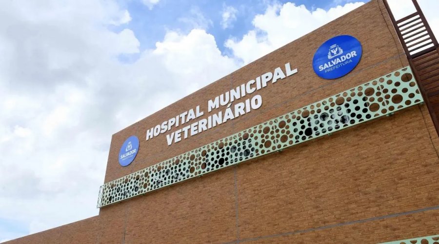 [Hospital Veterinário de Salvador anuncia mutirão para agendamento de castração gratuita]