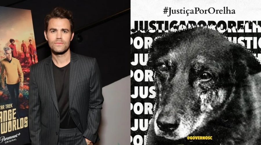 [Ator de The Vampire Diaries se manifesta sobre morte de cachorro torturado em SC]