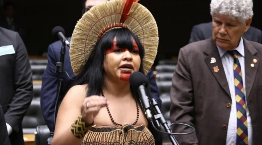 [Câmara aprova projeto que cria a Universidade Federal Indígena com sede em Brasília]