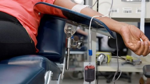 [Bahia registra aumento histórico na doação de sangue durante o Carnaval de 2026]