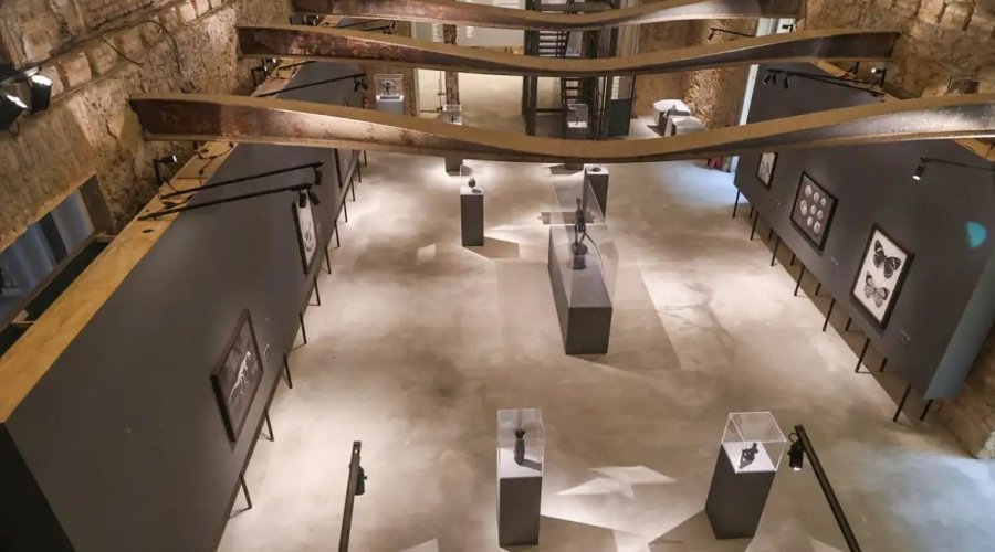 [Museu Nacional lança exposições inéditas em comemoração aos 208 anos]